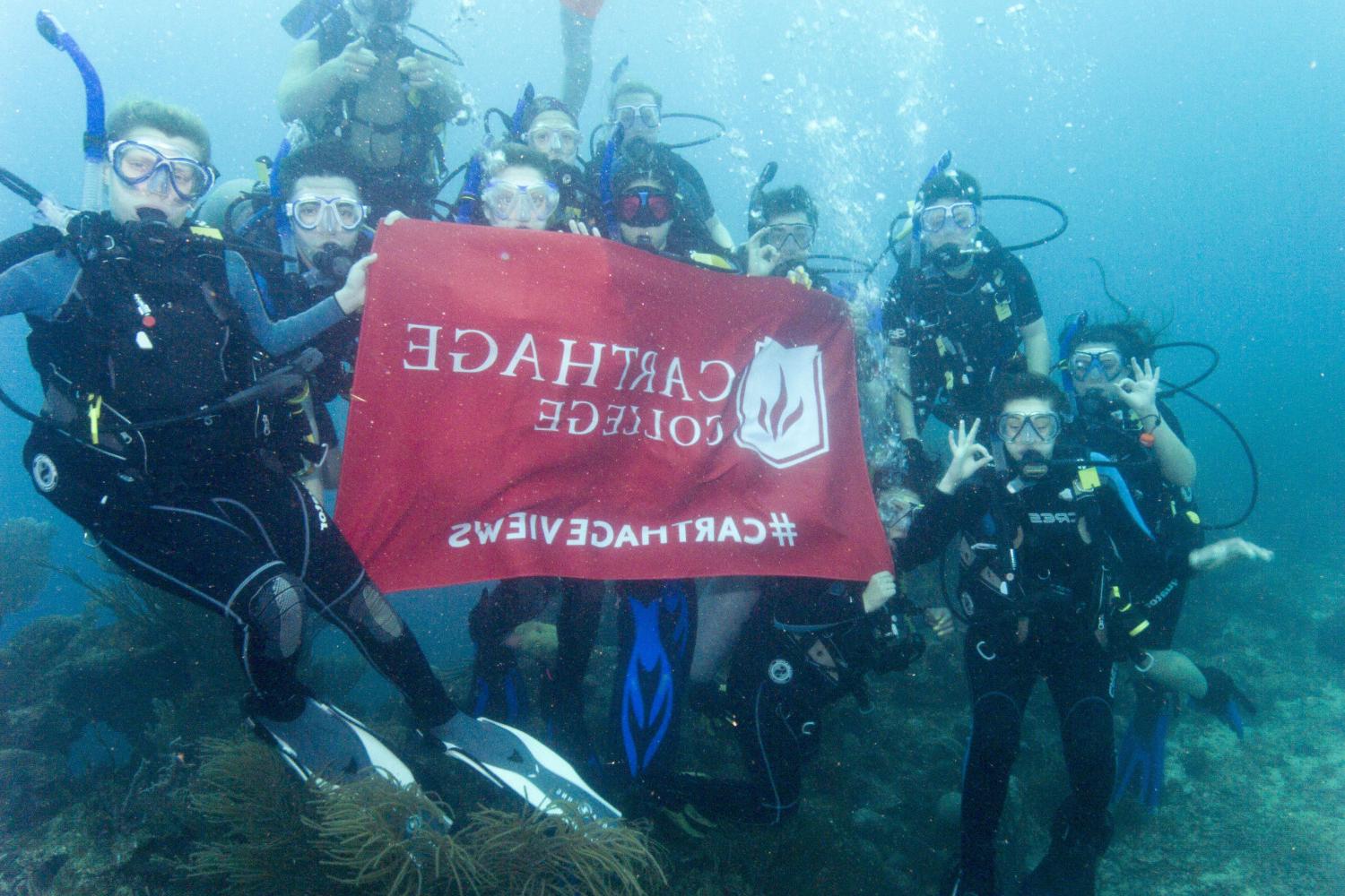 学生们手持<a href='http://u4p.ngskmc-eis.net/'>博彩网址大全</a>旗帜，在j学期洪都拉斯游学之旅中潜水.
